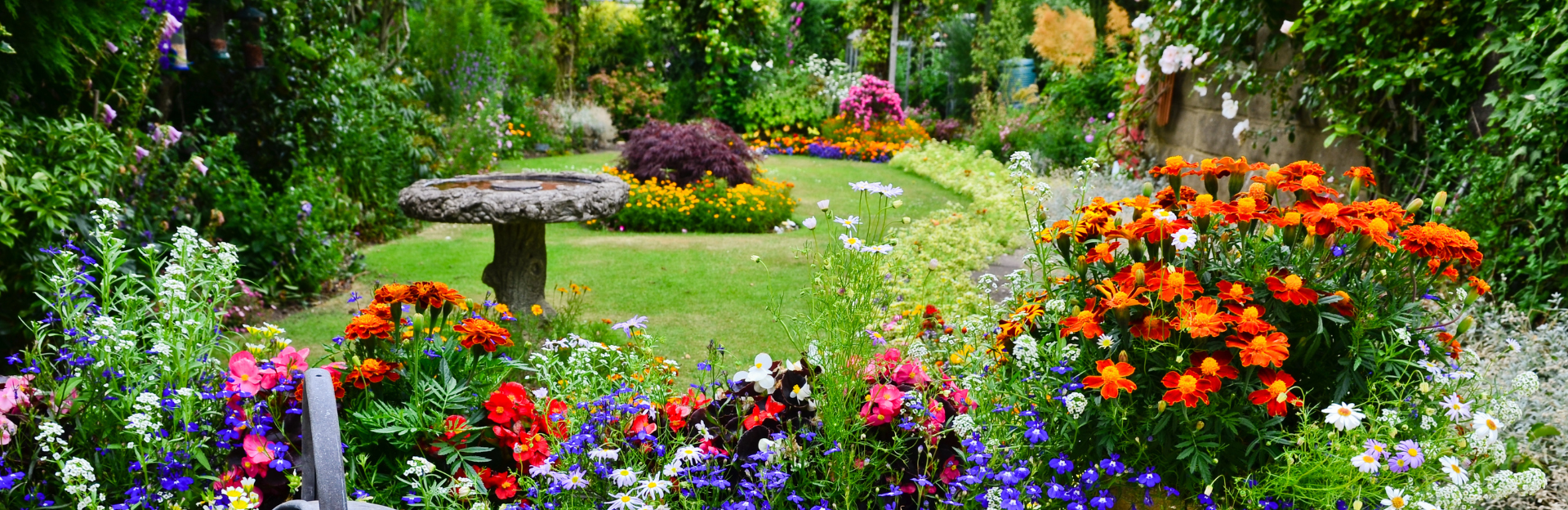garden flowers